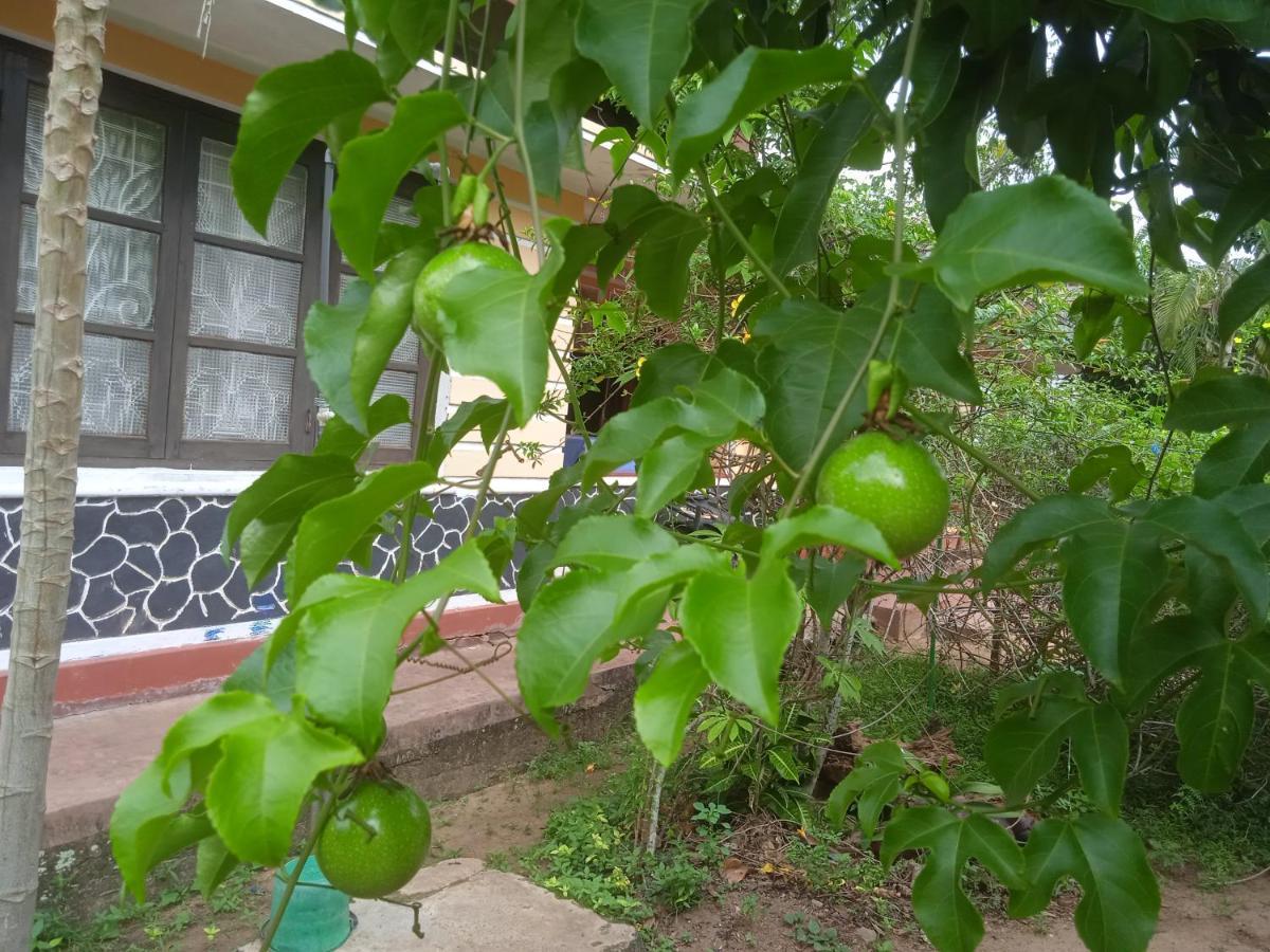 Sanaya Homestay Tangalle Zewnętrze zdjęcie